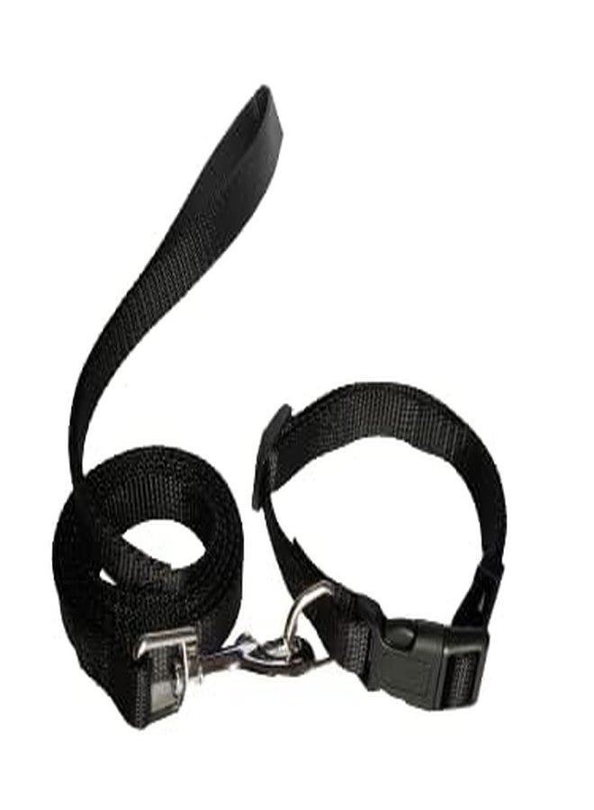 Pups&Pets طقم طوق ومقود من النايلون 15 مم من Pups&Pets، للاستخدام اليومي، طقم طوق ومقود للكلاب بشريط عادي 0.5 بوصة لجميع سلالات الكلاب والجراء للمشي والتدريب في الخارج (أسود) - Image 4